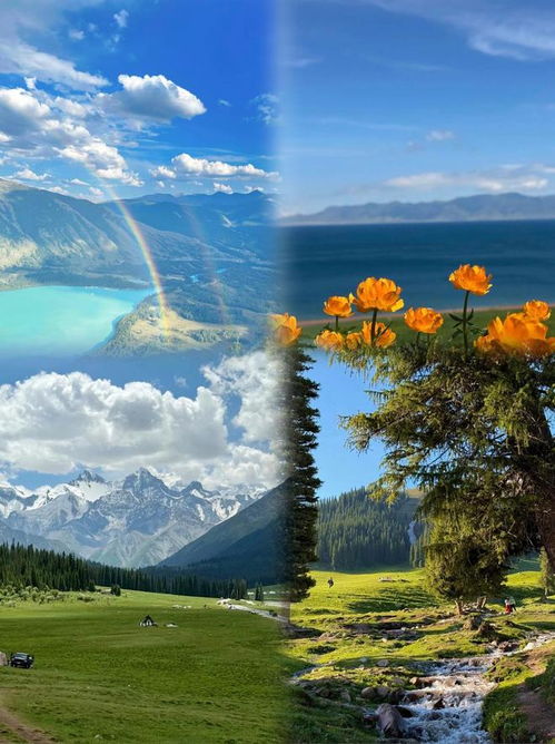 新疆口碑最好的旅行社排行榜 烏魯木齊十佳旅行社推薦