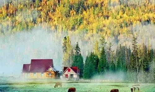 新疆15處美景上榜，生態保護與旅游發展相得益彰