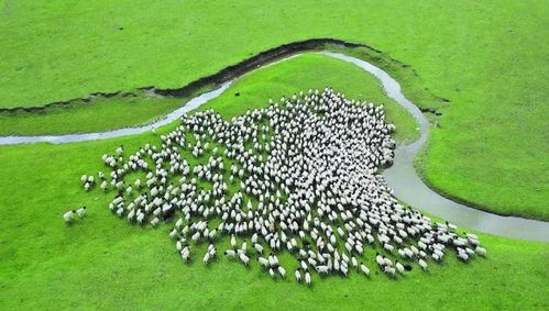 新疆 以環保為基，升級設施與服務，打造高品質旅游新名片