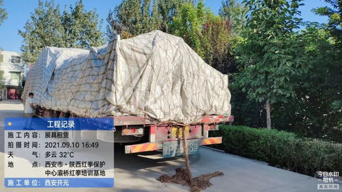 開元展覽 環保展具跨越山海，綠色理念扎根新疆